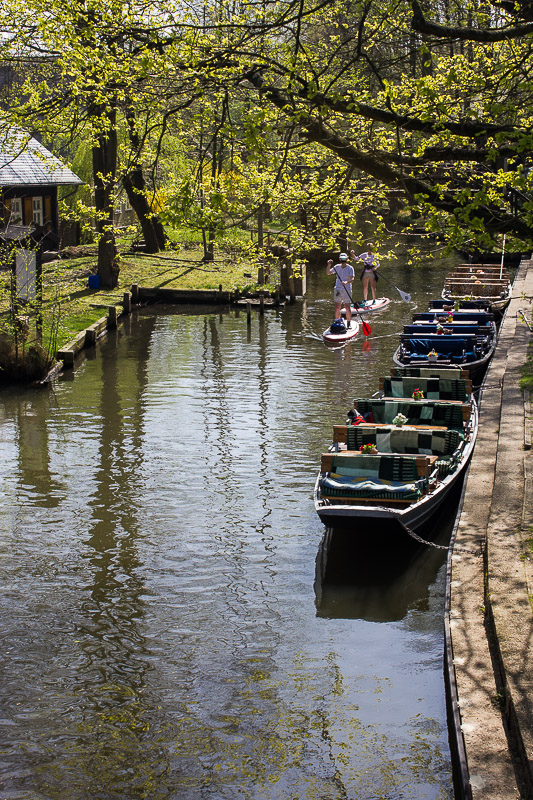 Stand up Paddling im Spreewald. Stand up Paddling im Spreewald.