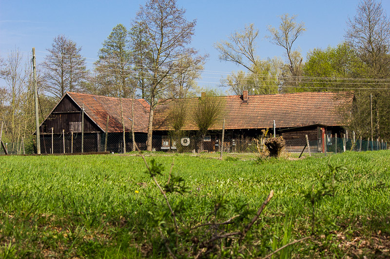 Spreewälder Bauernhof. Bauernhof im Spreewald.