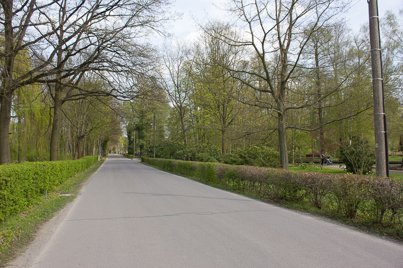 Straße und Wanderweg von Lübbenau nach Lehde. Strasse nach Lehde von Luebbenau aus.
