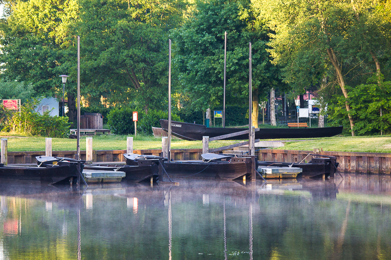 Am Morgen ganz andere Farben und Eindrücke als am Abend. Morgen am Campingplatz Hammestrand Worpswede.