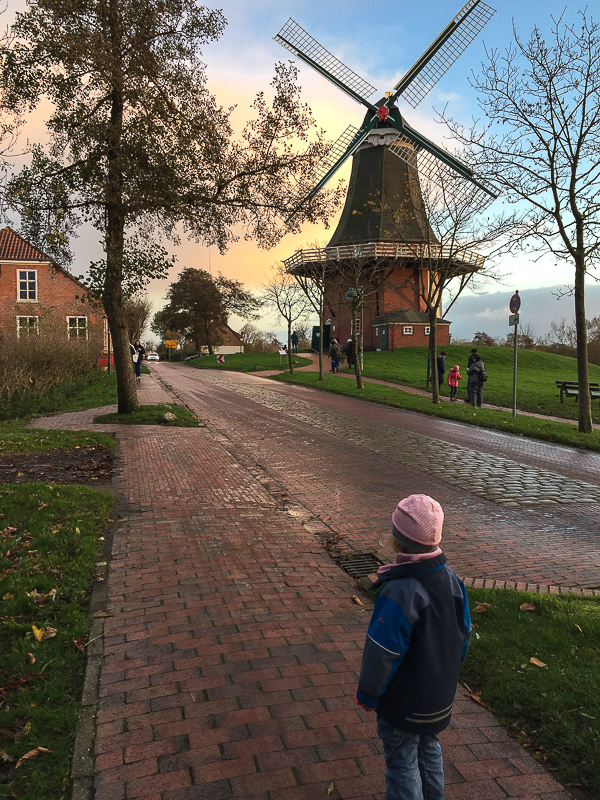 Die Flügel dieser Mühle sind recht neu. 2013 wurden die alten durch ein Sturm niedergerissen. Gruene Mühle in Greetsiel.