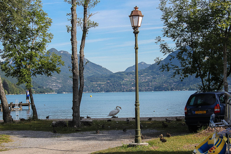 Für die Kinder waren ja die ganzen Enten und Schwäne am interessantesten. Camping-International-du-lac-Annency