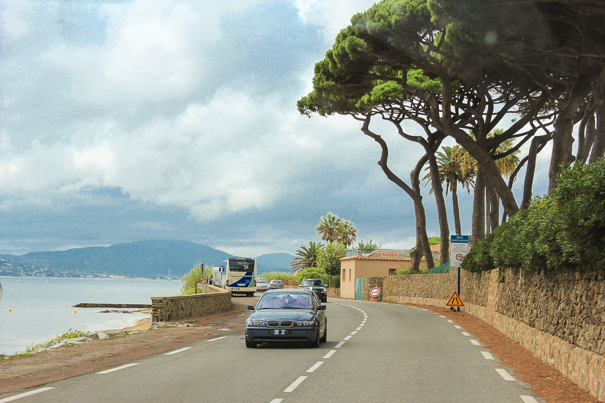 Pinien und Palmen, ja wir sind im Süden. Suedfrankreich Strasse am Mittelmeer.
