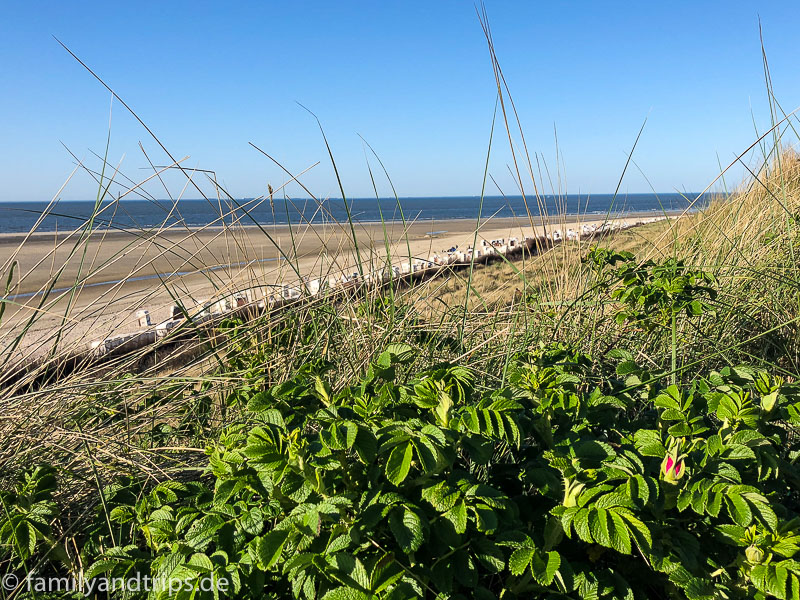 Wenn der Magen nicht geknurrt hätte, hätten wir noch ewig dort bleiben können. Strand mit Strandkörben Spiekeroog.