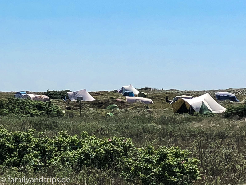 Sieht doch gar nicht so voll aus. Campingplatz auf Spiekeroog.
