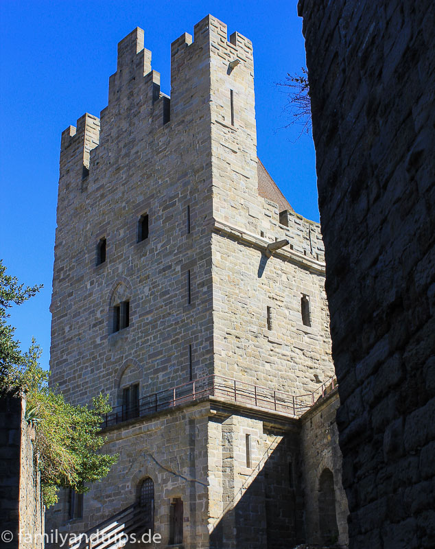 Ich weiß nicht welche Art und ob überhaupt Schätze hier vorhanden sind. Tour du treseau in Carcassonne.
