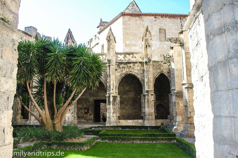 So ein bisschen Grün zwischen den ganzen Steinen tut ganz gut. Gotischer Kreuzgang der Kathedrale in Narbonne.